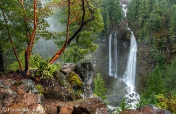 Barr Creek Falls Sue Newman