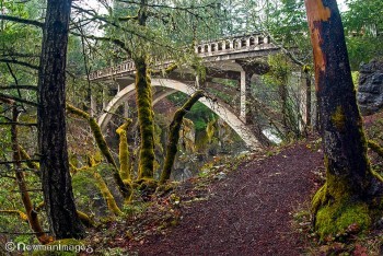 Prospect Bridge Sue Newman