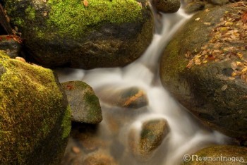 Ashland Creek Divide