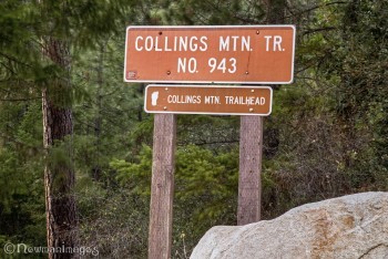 Collins Mountain Trailhead