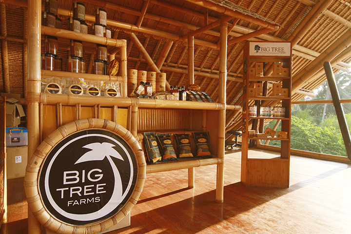 Big Tree Farms – Global Pioneer of Coconut Sugar and Raw Cacao