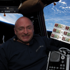 12 mark_kelly_vitalizerinspace