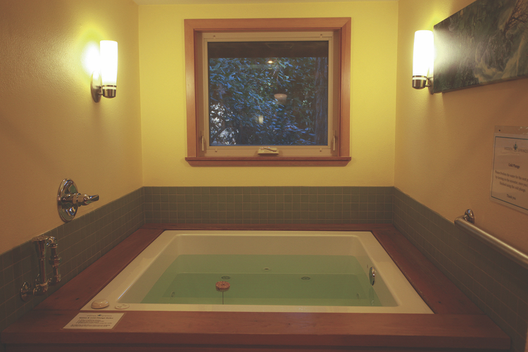 Ashland Colon Hydrotherapy, Celebrating 13 Years in Southern Oregon