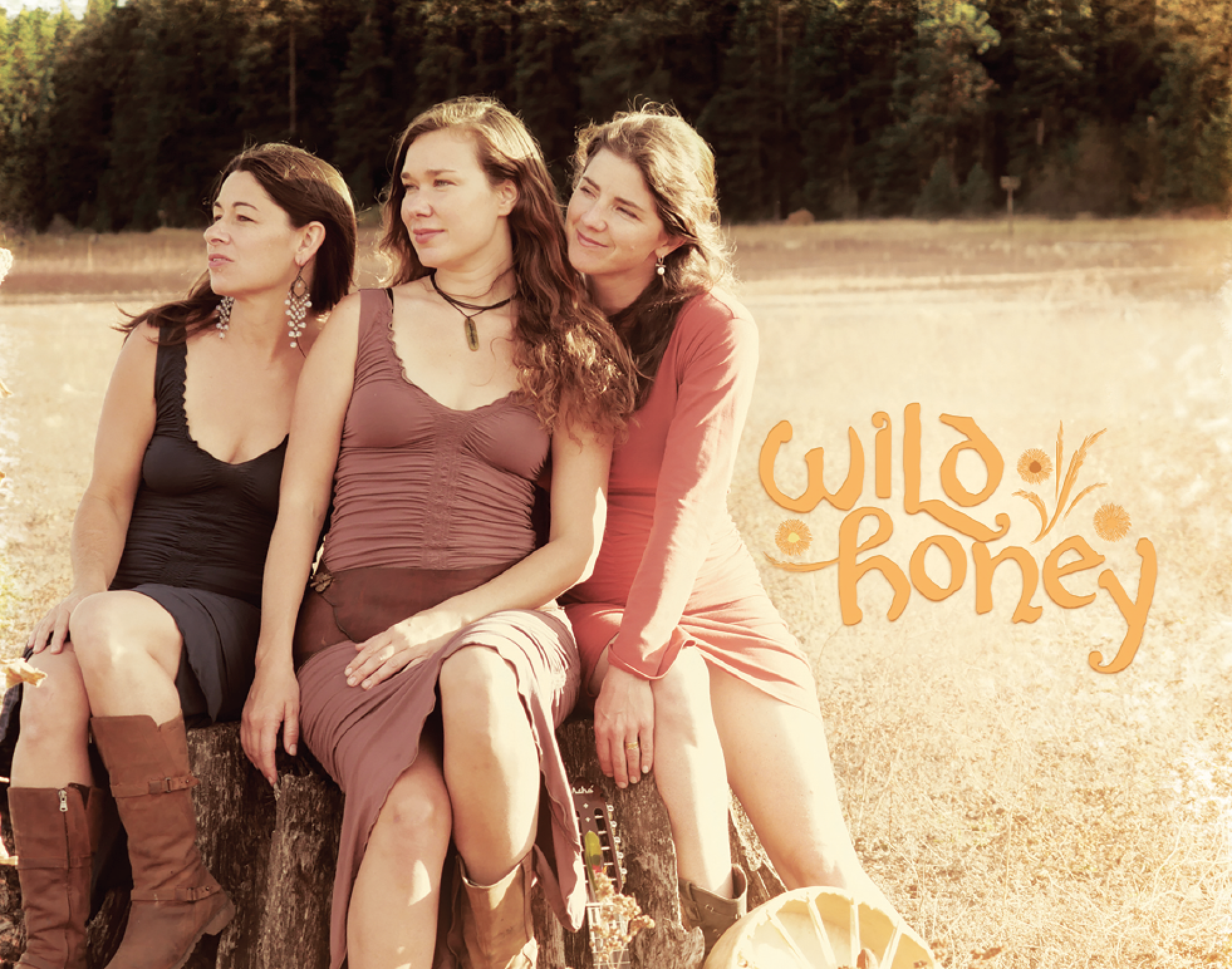 Wild Honey – CD Release Concert – April 14th at 7:30 PM – First United Methodist Church
