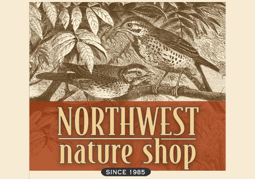 Spring Nature Exploration with Northwest Nature Shop