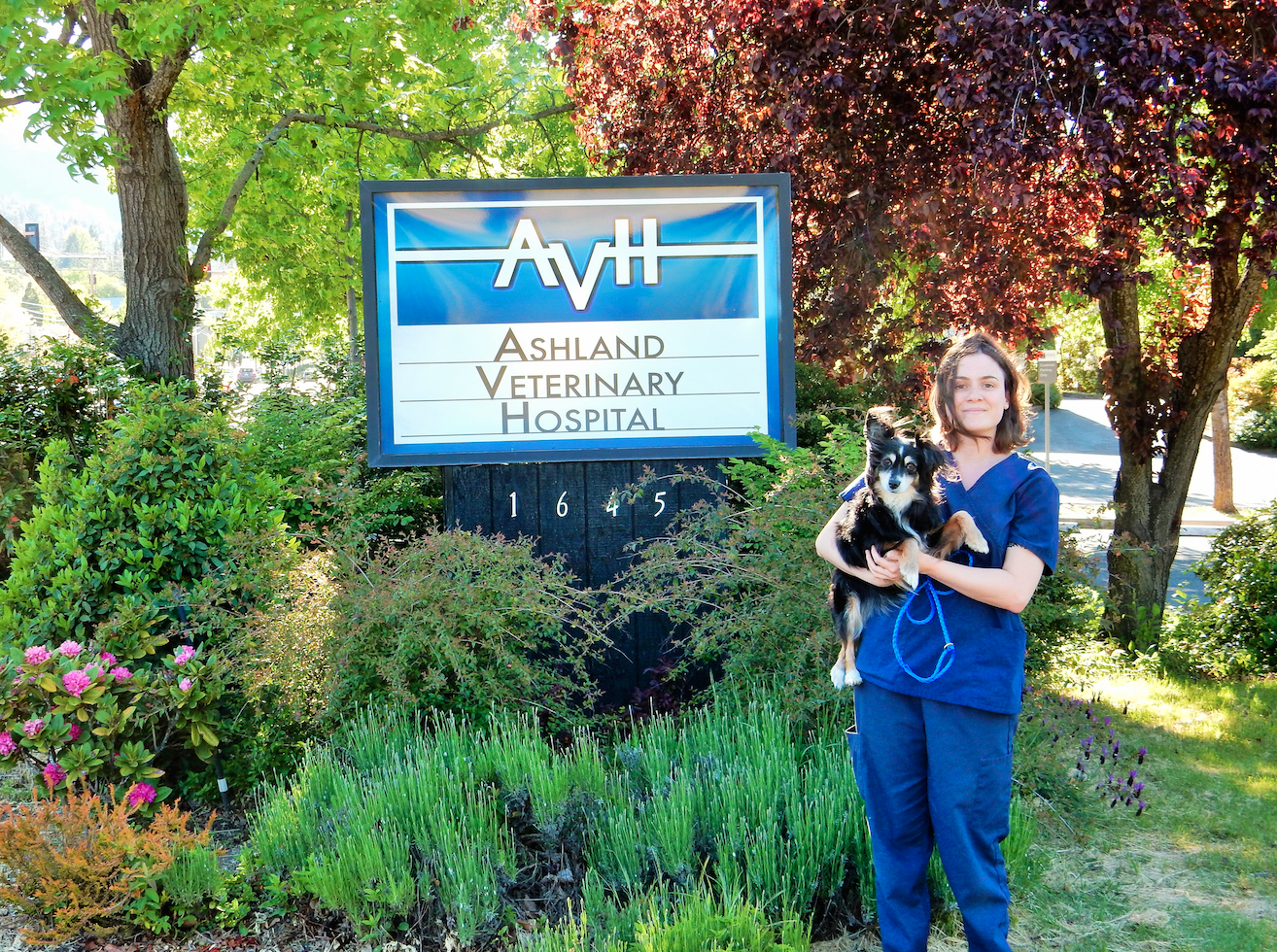 Ashland Veterinary Hospital