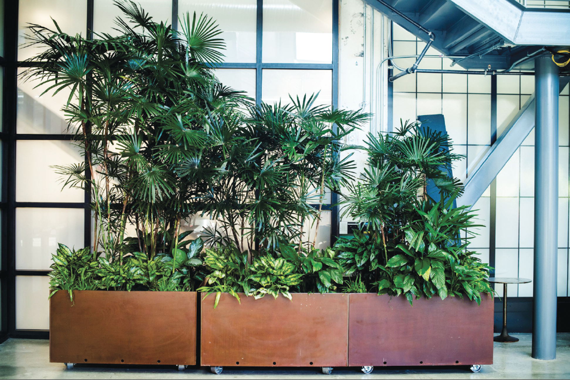AddLife – Interior Plantscaping For Business & Home ; Breathe More Fresh Air