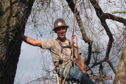 Casey P. Roland Tree Care – Out On A Limb